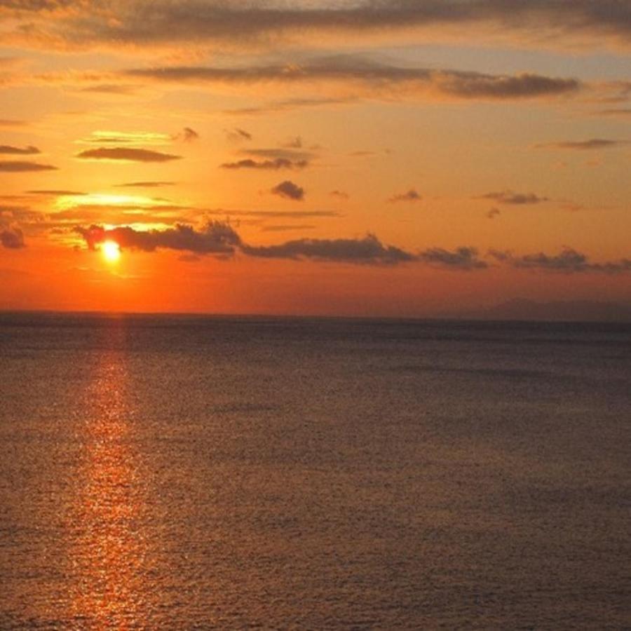 森の入り江の離れ宿 無雙庵枇杷 อิซุ ภายนอก รูปภาพ